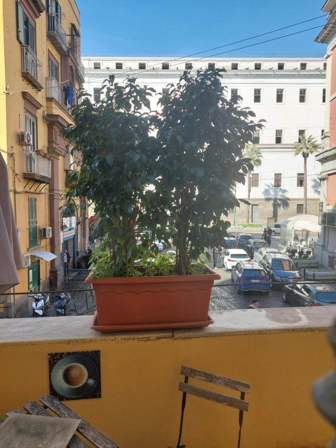 Concept B&B Naples Exterior photo